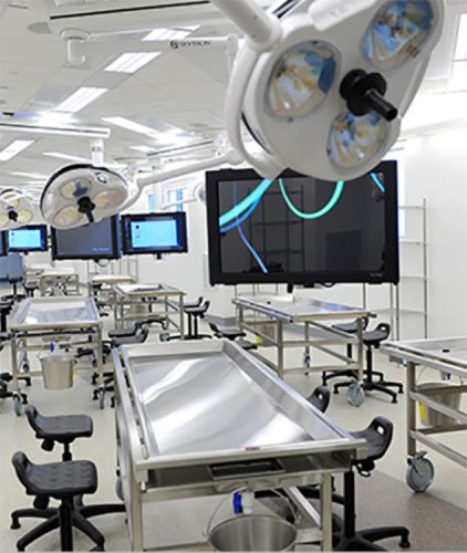 lab of anatomy