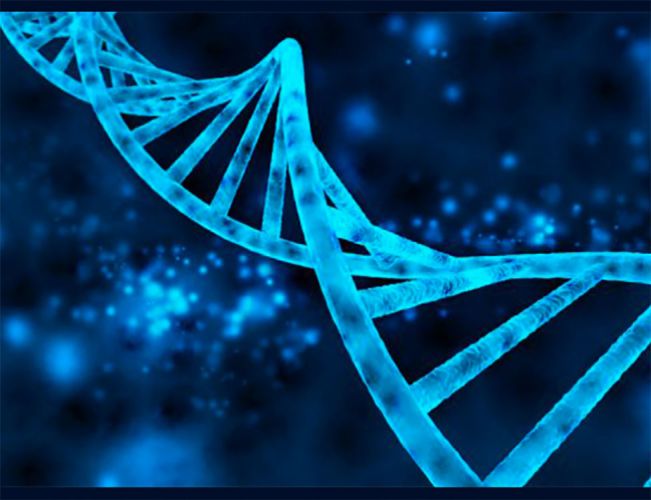 molecular-biology